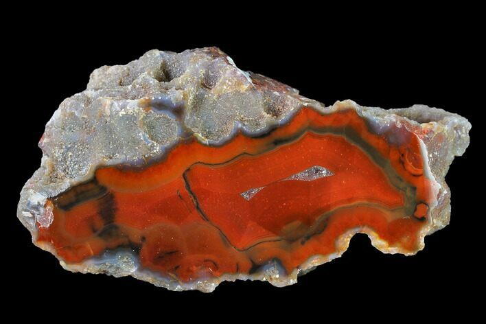 Colorful, Polished Condor Agate Section - Argentina #145518